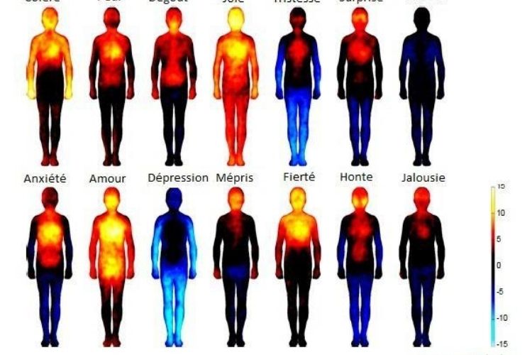 Quelles sont les différentes émotions qui nous affectent