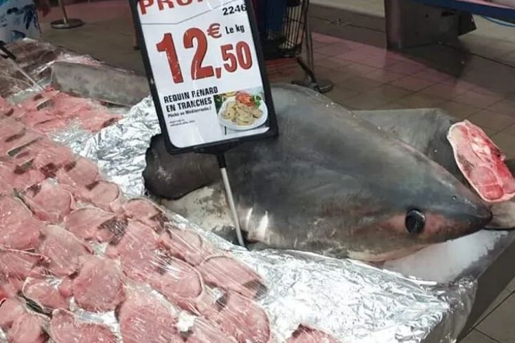 viande de requin toxique